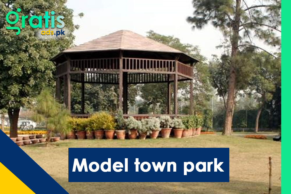 Family-Friendly Activities at Model Town Park