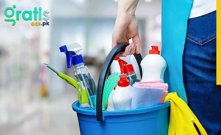 The Importance of Professional Cleaning Services for Homeowners