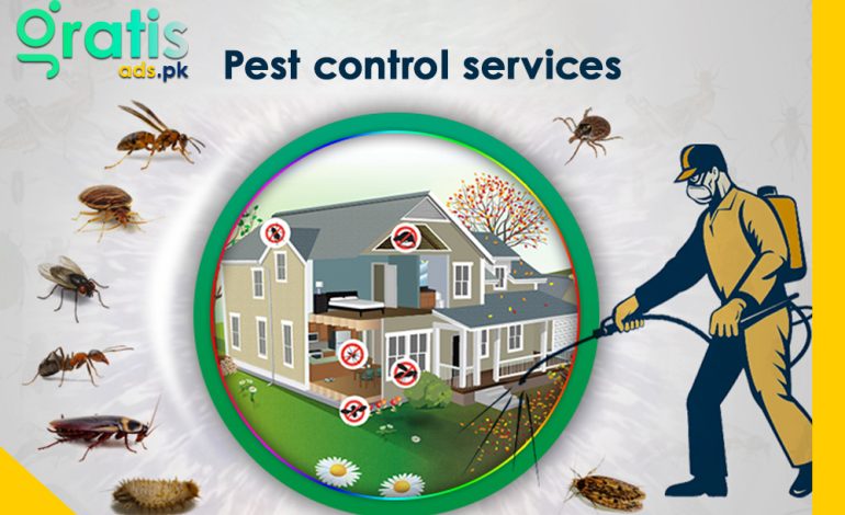 pest control services