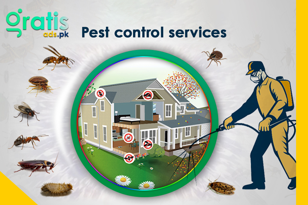 Quality Pest Control Services for Lasting Solutions