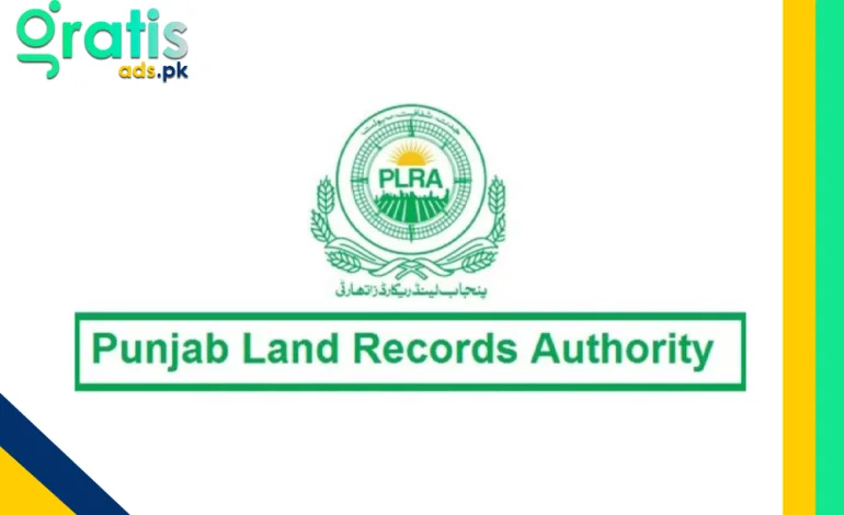 What is the Punjab Land Record Authority, and How Does It Work?