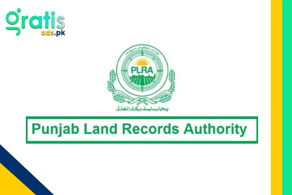 What is the Punjab Land Record Authority, and How Does It Work?